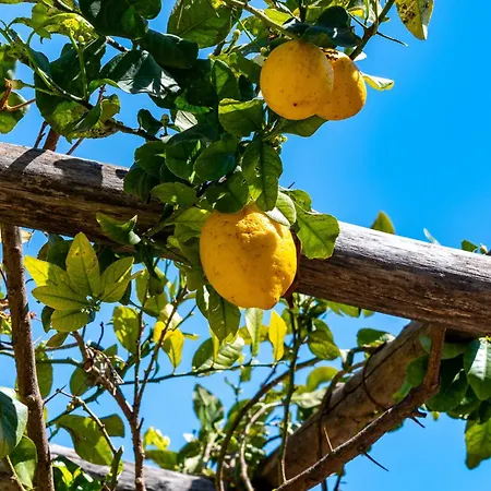 Ξενοδοχείο με διαμερίσματα Foglia 4*