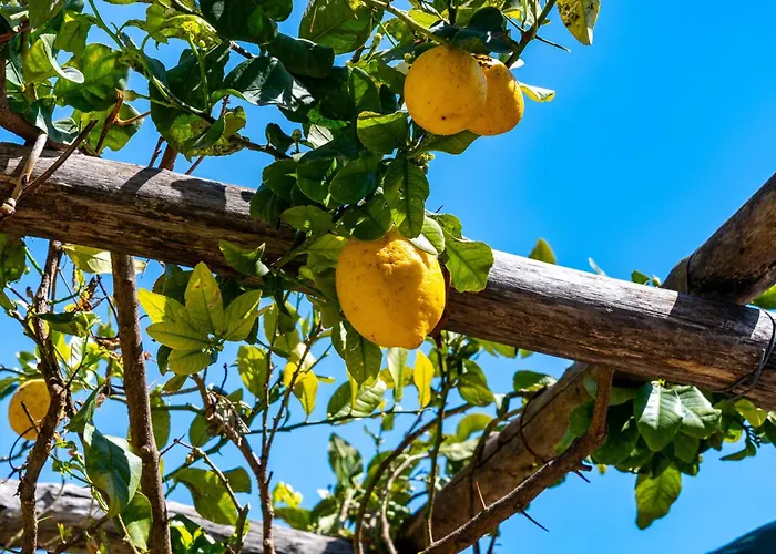 Ξενοδοχείο με διαμερίσματα Foglia 4*