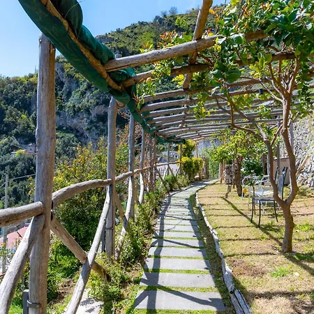 Foglia 2* Amalfi