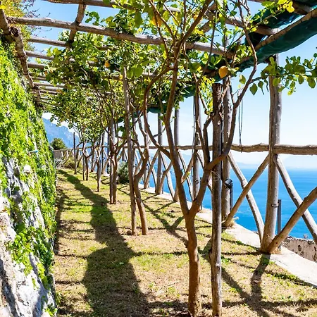 Foglia Amalfi