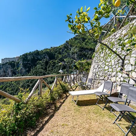 Foglia Amalfi
