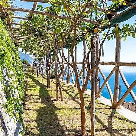 Foglia Ξενοδοχείο με διαμερίσματα 4*