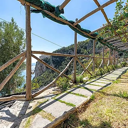 Foglia 4*